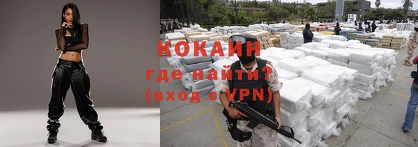 PSILOCYBIN Покачи